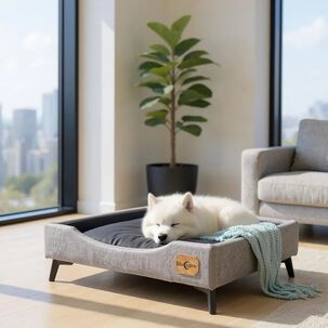 Cama De Mascotas - Talla M Extra (50x75 Cm) / Pata Metalica 12 Cm