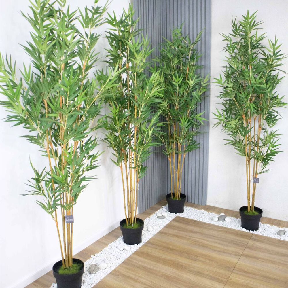 2 X 1 Bamboo Premium 150 Cm. / 1095 Hojas Arbusto Real image number 3.0