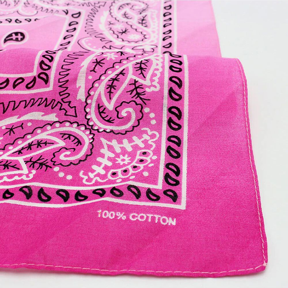 Bandana Barbie Y Ken Accesorio Disfraz- Barbie image number 1.0