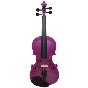 Viol&iacute;n Livorno Color Purpura 4/4 Liv-20pu