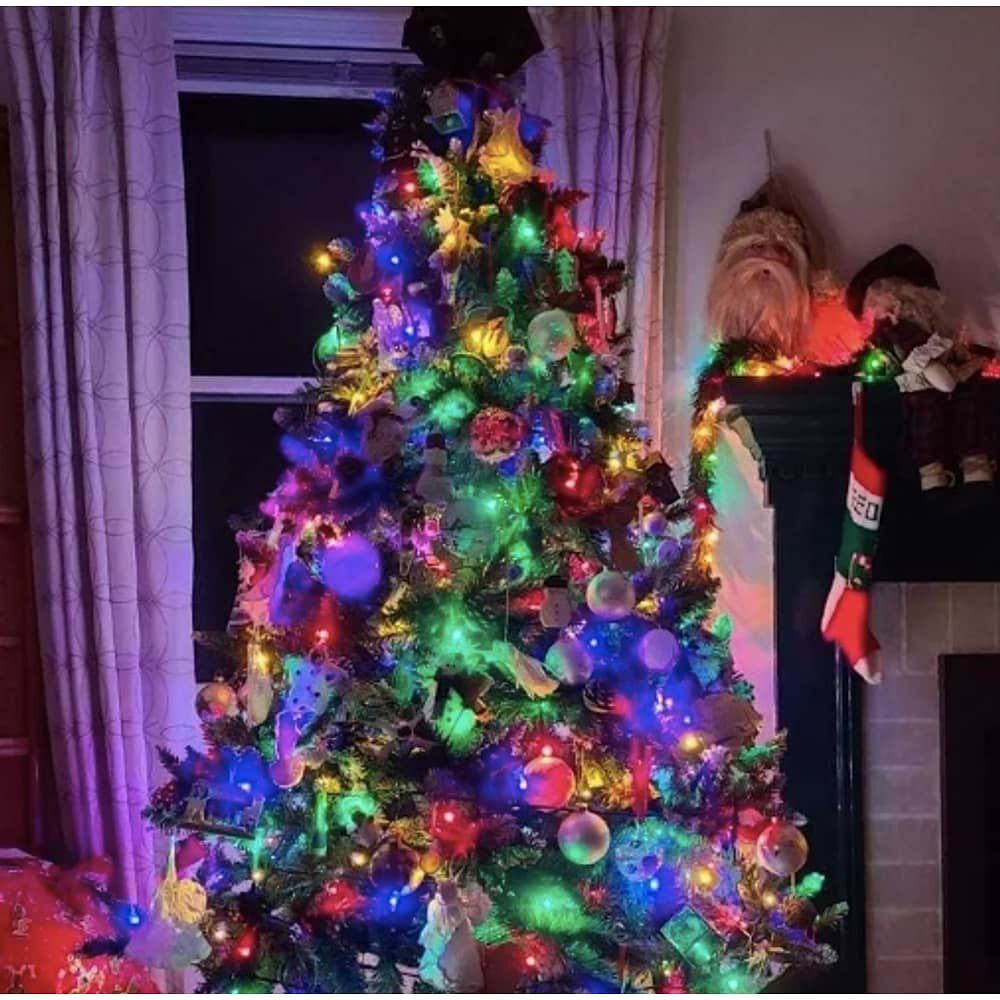 Guirnalda 500 Luces Led Multicolor Arbol Pascua Navidad Deco image number 1.0