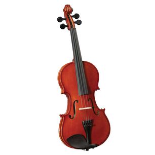 Viol&iacute;n Cervini 3/4 Hv-100