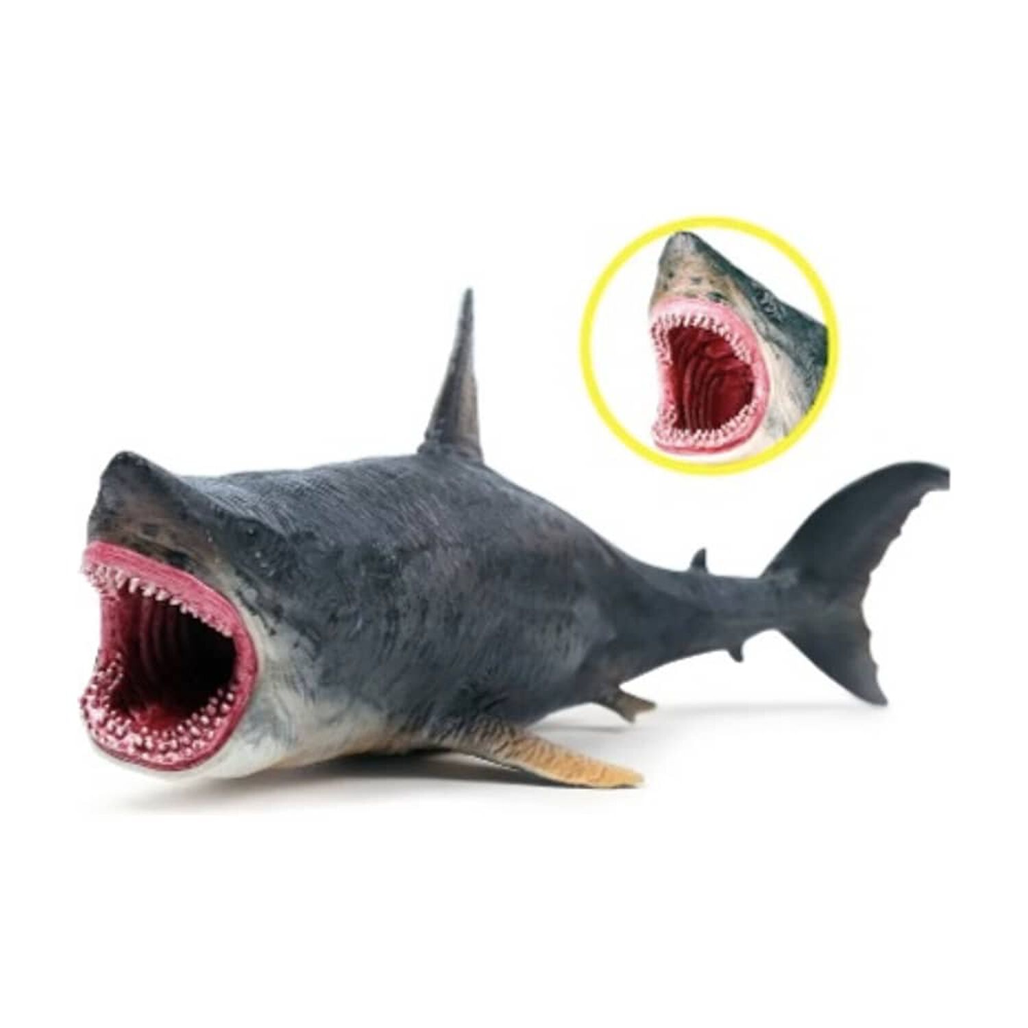 Figura Megalod&oacute;n Tibur&oacute;n 25 Cm image number 0.0