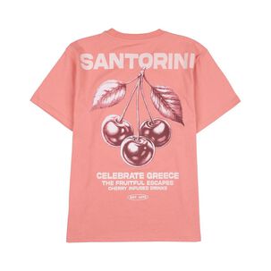 Polera Hombre Rolly Go