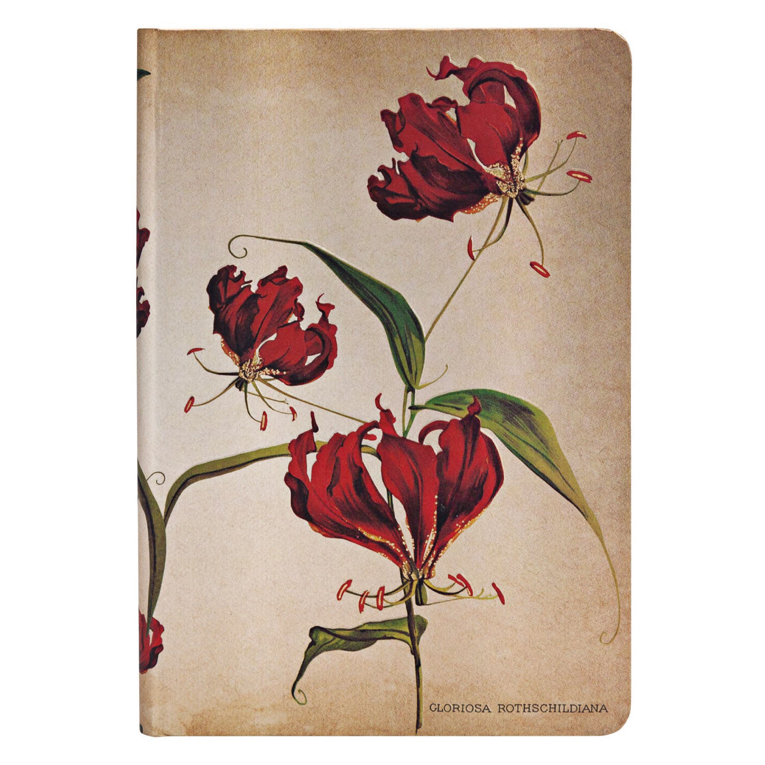 Libreta Gloriosa Lily Mini Tapa Dura image number 2.0