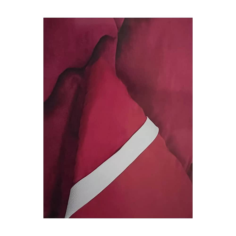 Cubrecolchon Ultra Acolchado Tipo Topper 2 Plz image number 3.0