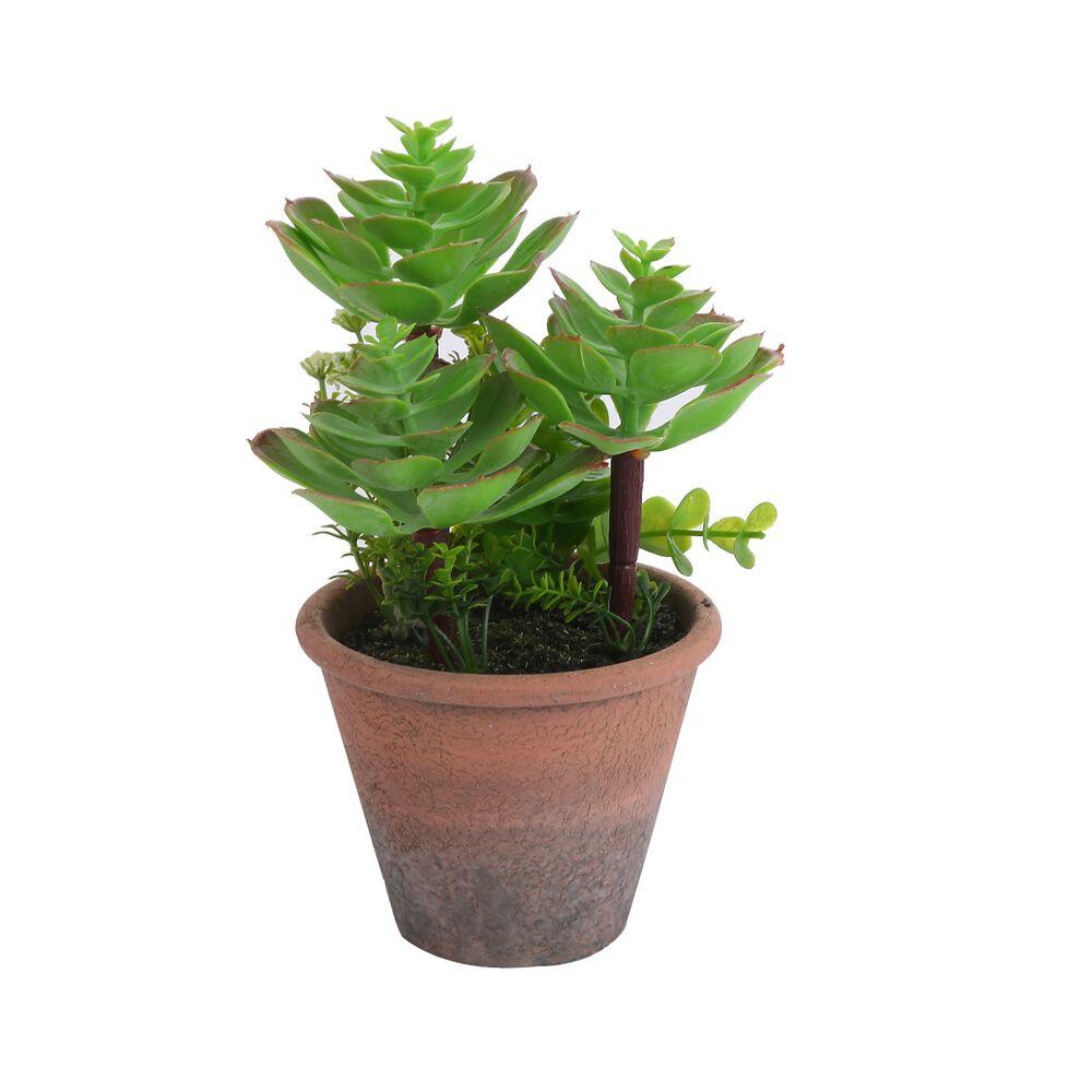 Planta Artificial Suculenta 20 Cm image number 0.0