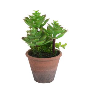 Planta Artificial Suculenta 20 Cm
