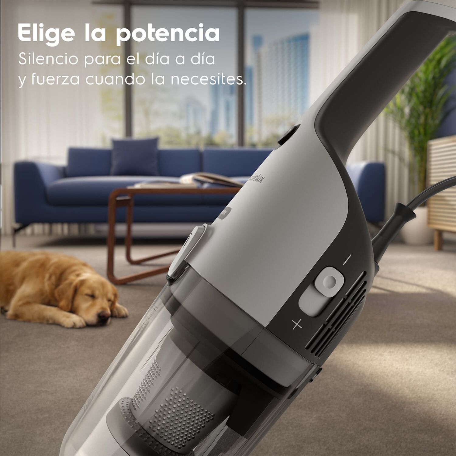 Aspiradora Vertical Con Cable Electrolux 1800w 2 En 1 Con Filtro Hepa Stk26 image number 14.0