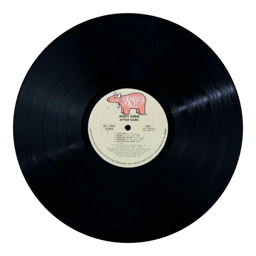 Andy Gibb - After Dark | Vinilo Usado image number 2.0