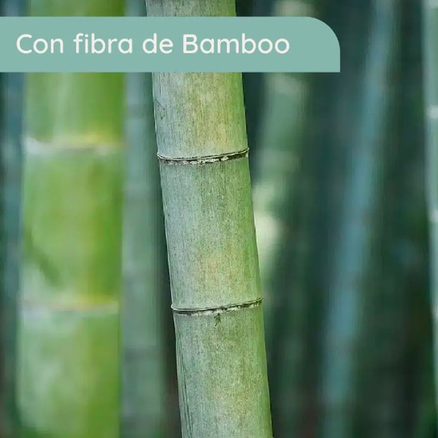 Cubre Colchon Impermeable Bambu Super King image number 3.0