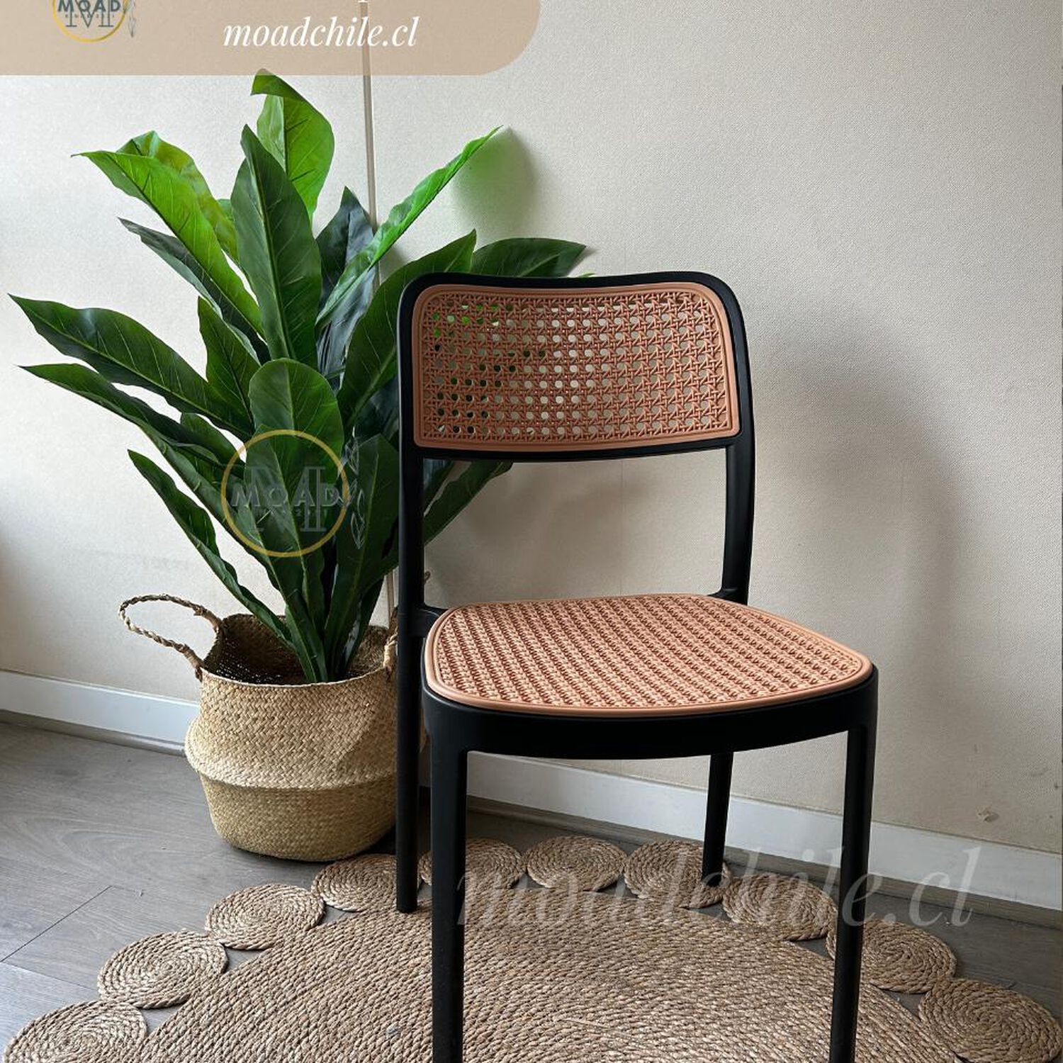 Silla De Terraza Hoffman De Polipropileno Con Respaldo Ergon&oacute;mico Apilable image number 0.0