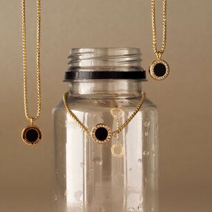 Collar Jason Hyde Jhjn0001w-s Negro