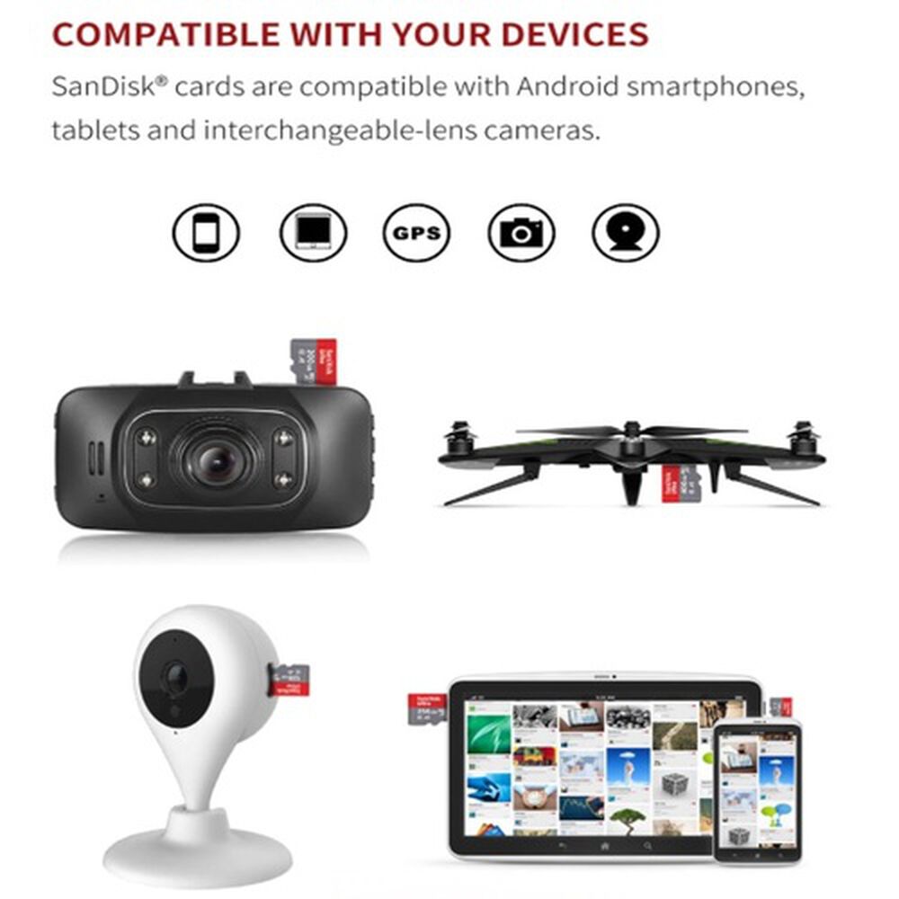 Tarjeta Memoria Micro Sd Sandisk Ultra 64 Gb Original Nintendo Switch A1, Clase 10, 120 Mb/s image number 5.0