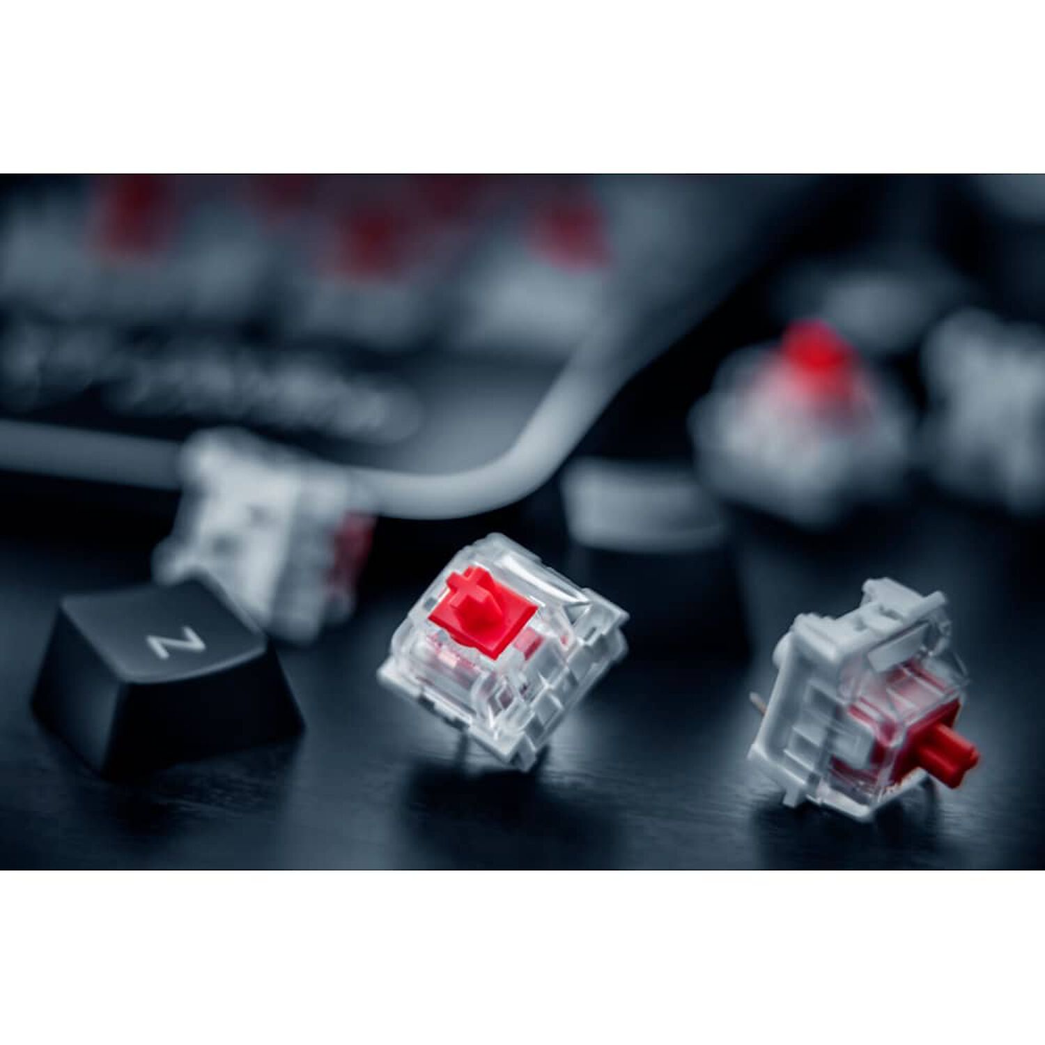Teclado Mec&aacute;nico Trust Asta Gxt 865 Profesional Gamer image number 4.0