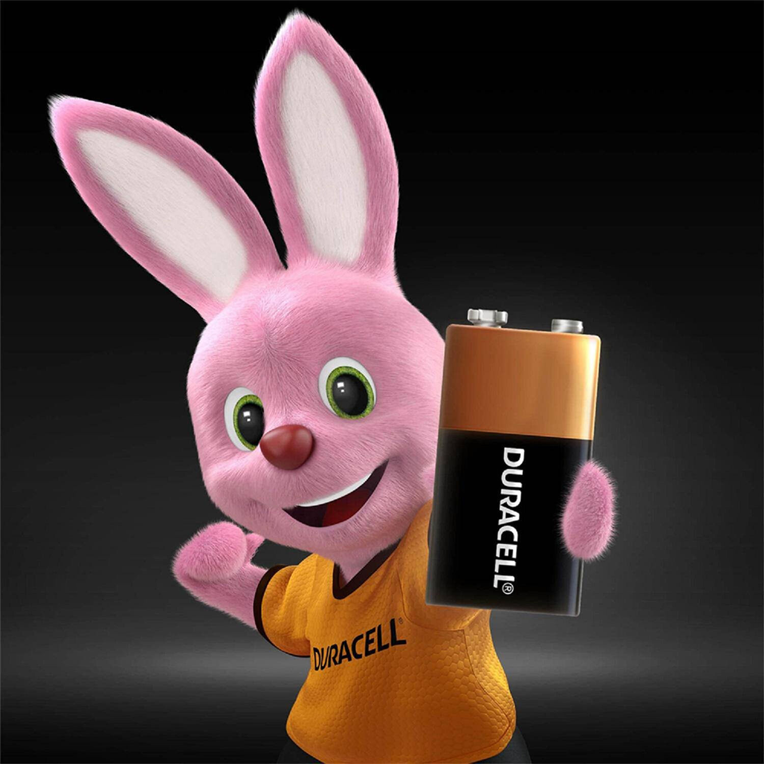 Bateria 9v Duracell Alcalina Unidad image number 3.0