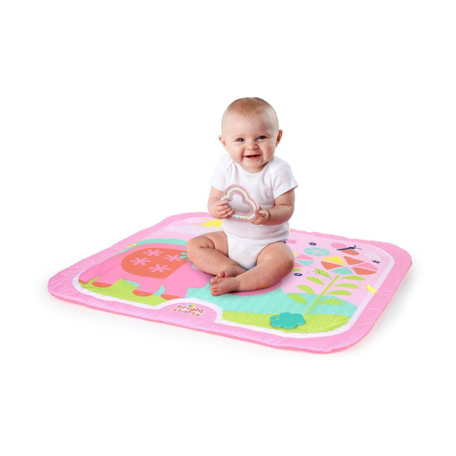 Gimnasio Bright Starts  Fanciful Flowers image number 3.0