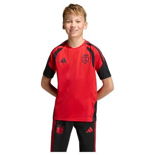 Camiseta De Entrenamiento Tiro 26 Competition De Colo-colo Para Ni&ntilde;os