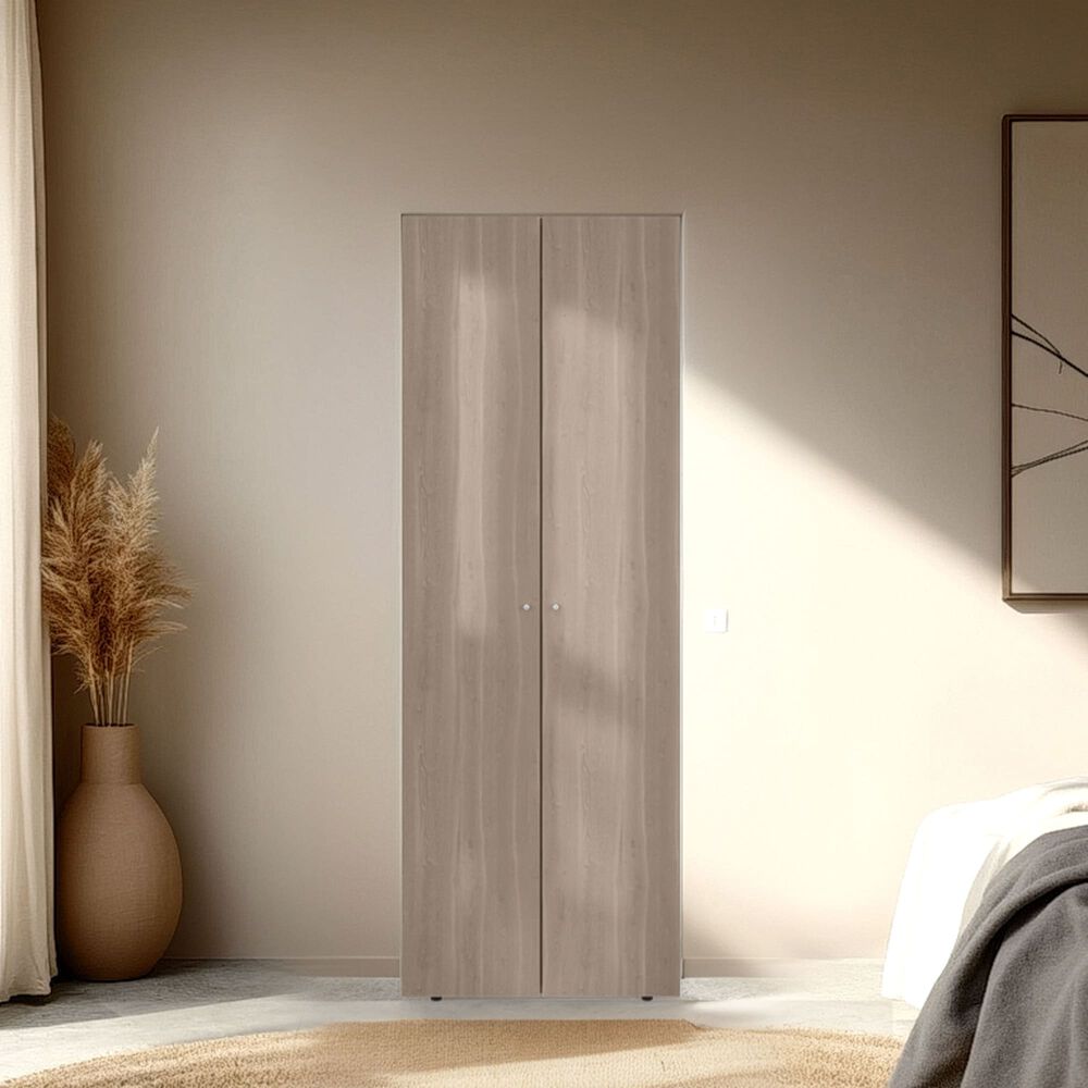 Closet 1 Colgador 2 Puertas 170x60x40,2 Cm image number 3.0