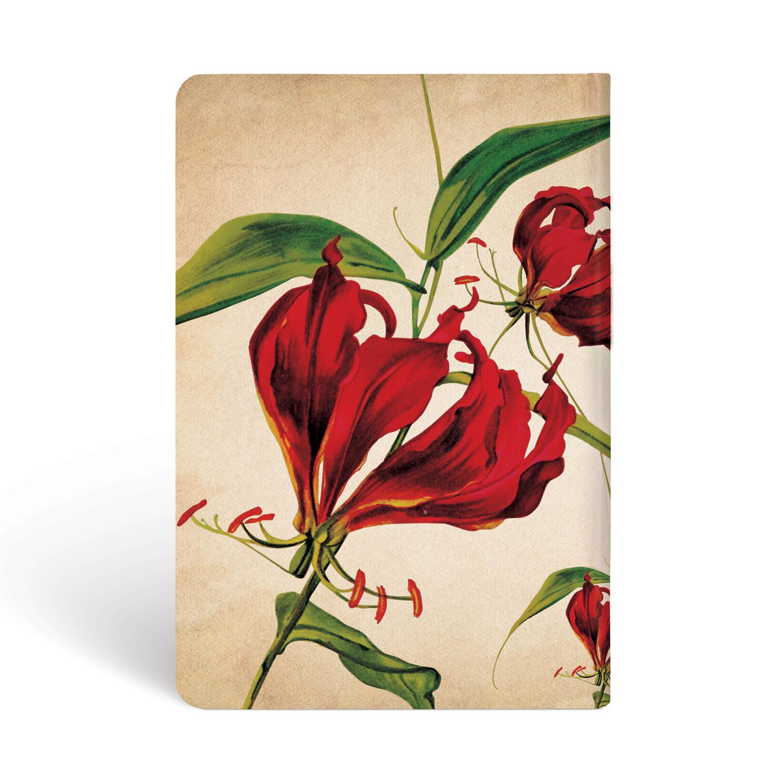 Libreta Gloriosa Lily Mini Tapa Dura image number 1.0
