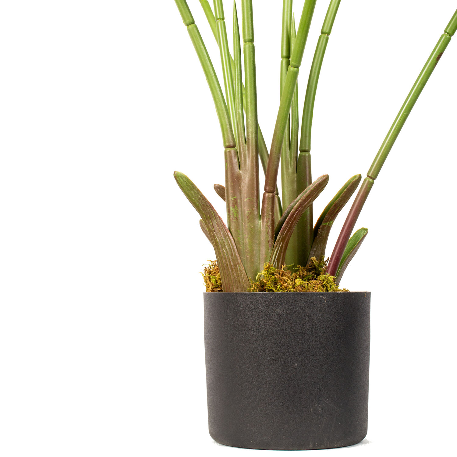 Planta Artificial Ave Del Paraiso 120 Cm 8 Hojas / Arbusto Real image number 2.0