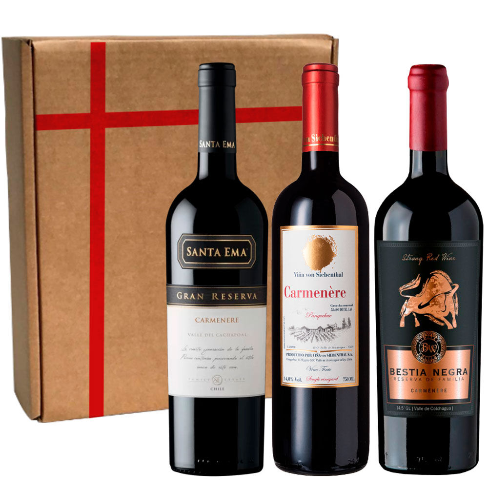 3 Vinos Selección Carmenere image number 0.0