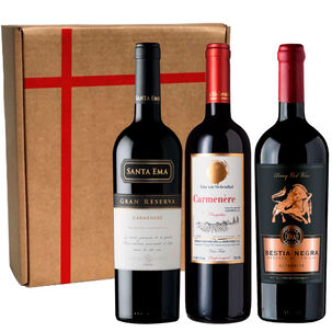 3 Vinos Selección Carmenere