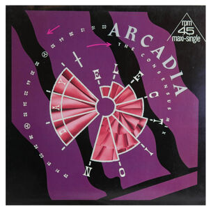 Arcadia - Election Day (cryptic Cut) | 12" Maxi Single Usado