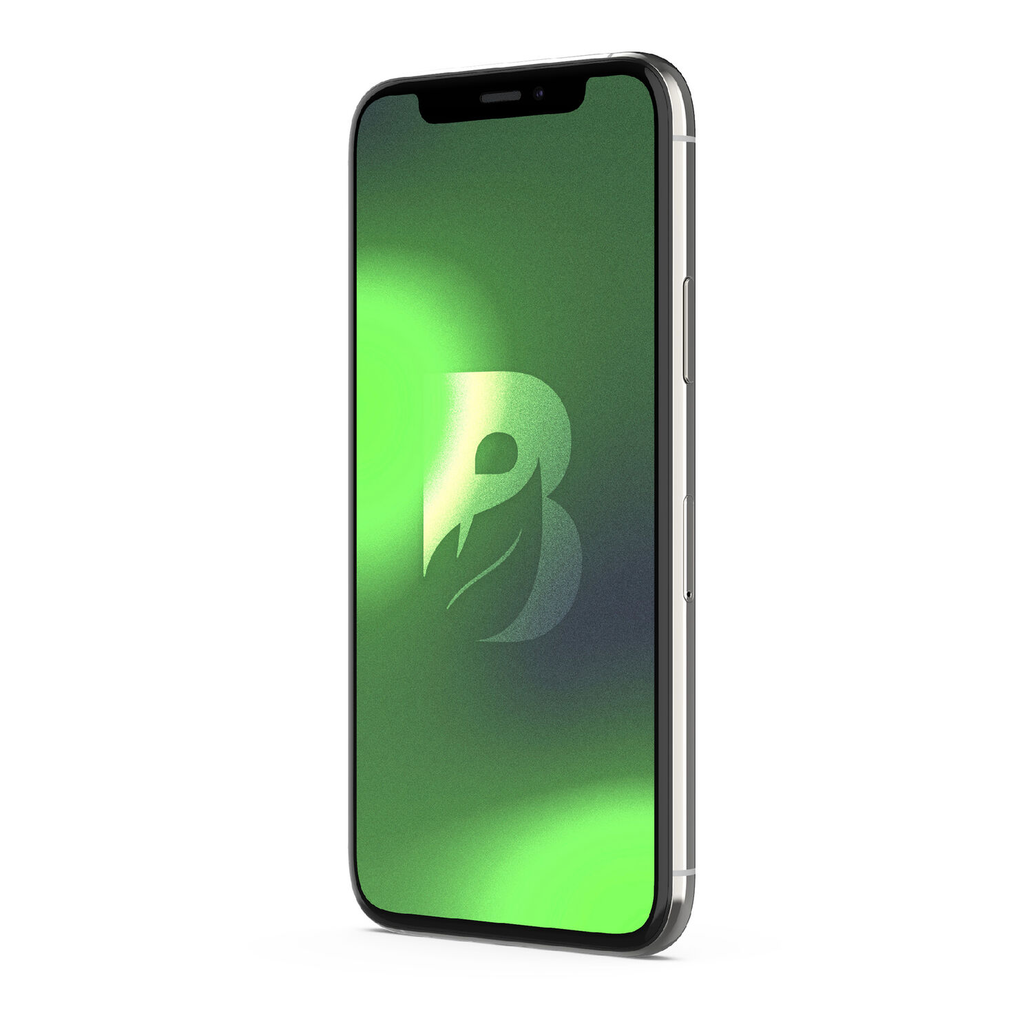 Iphone 11 Pro Max 256gb - Plata Recondicionado image number 4.0