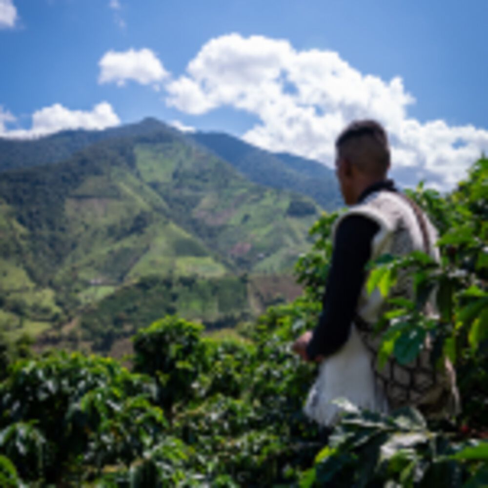 Cafe Molido Filtrado Nosso Cafe Justo Tropical Blend 250g image number 6.0