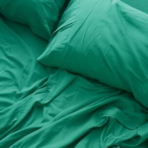 Sabana Lisa 2 Plazas