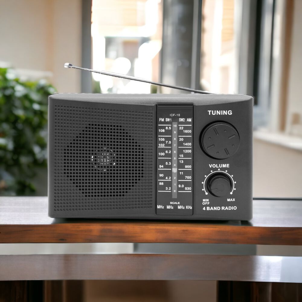 Radio Am / Fm Multibandas Recargable A Pilas Y Corriente 18r image number 4.0