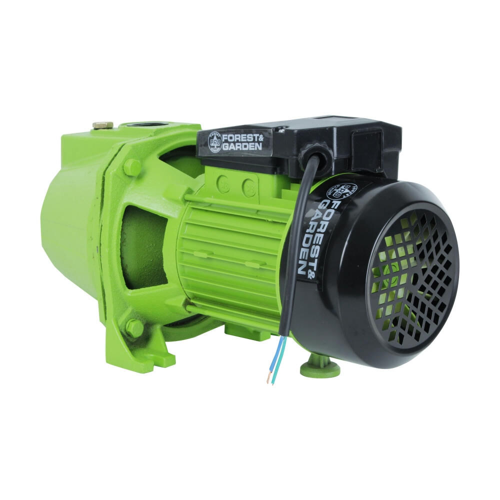 Bomba Centrífuga Autocebante 1" 1hp 48l/min Jf 810 - Garden image number 0.0