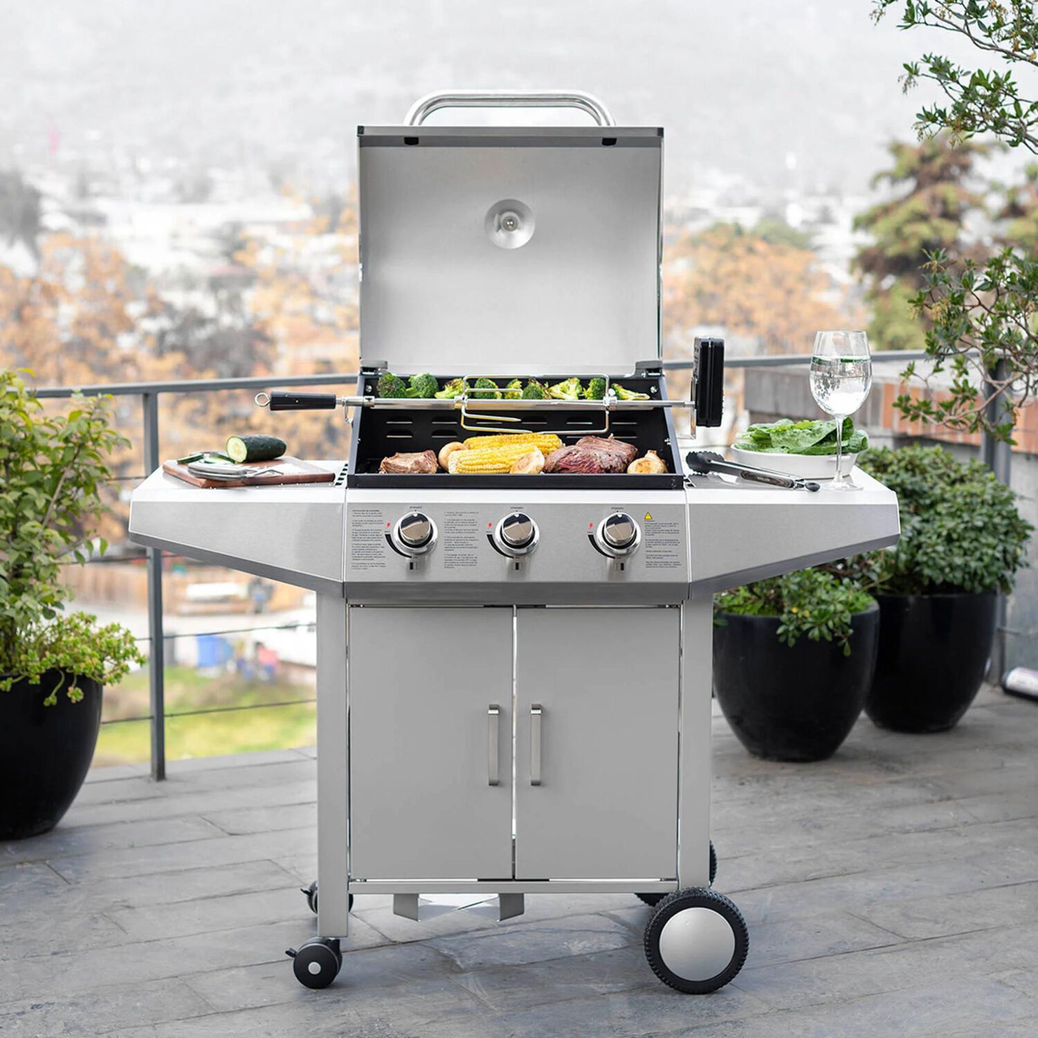 Parrilla Gas Fdv Essence 3q image number 4.0