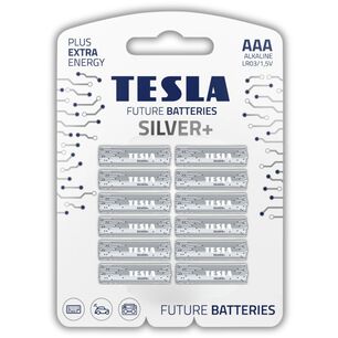 Pack 12 Pilas Aa Tesla Silver+ Alkaline Plus Extra Energy