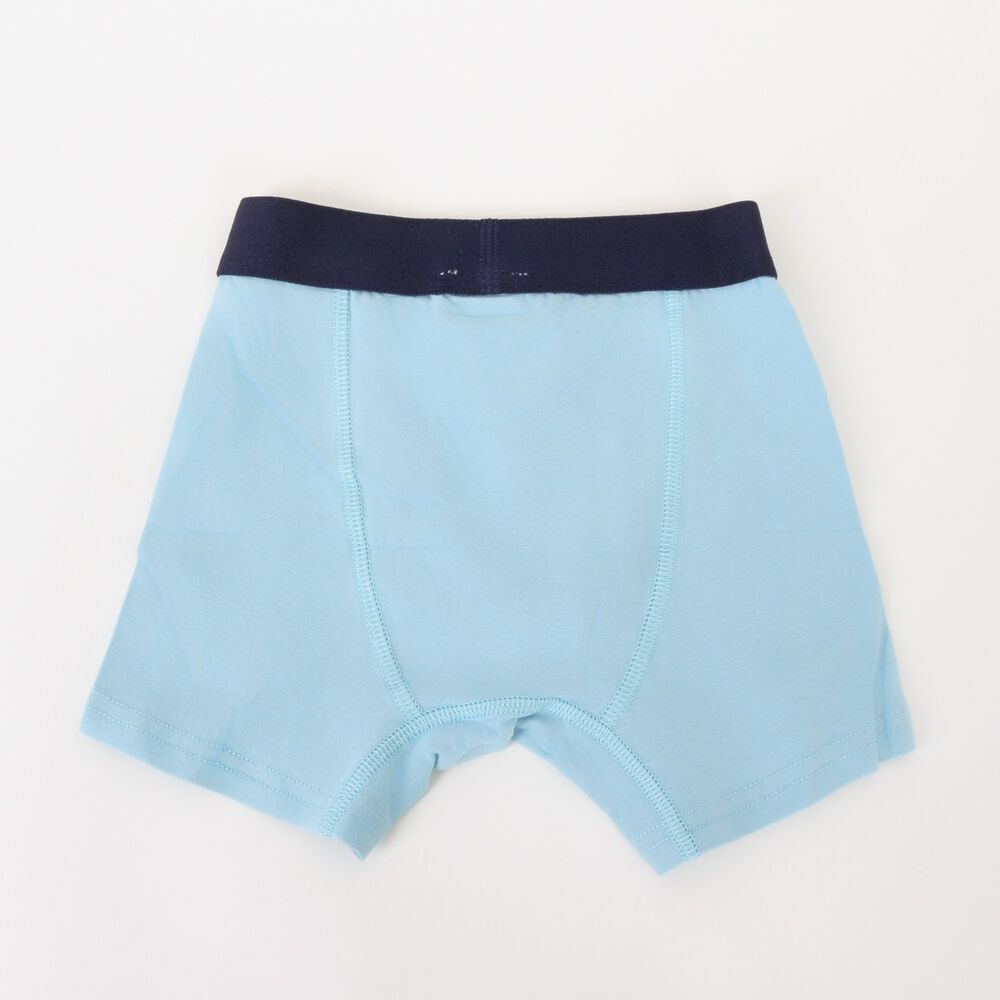 Tripack B&oacute;xer Ni&ntilde;o Celeste Full Print Bluey image number 6.0