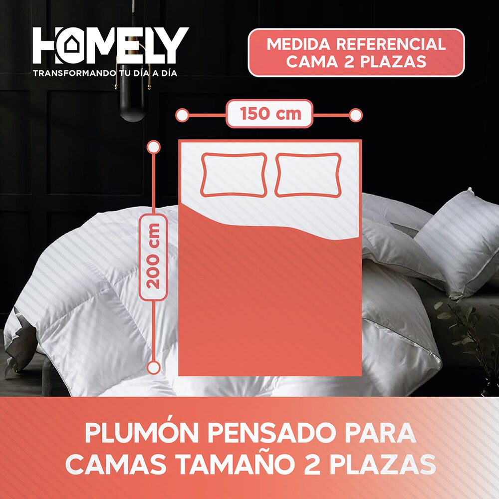Cubrecama Cobertor 2 Plazas 90% Pluma Pecho Ganso Homely Lux image number 2.0