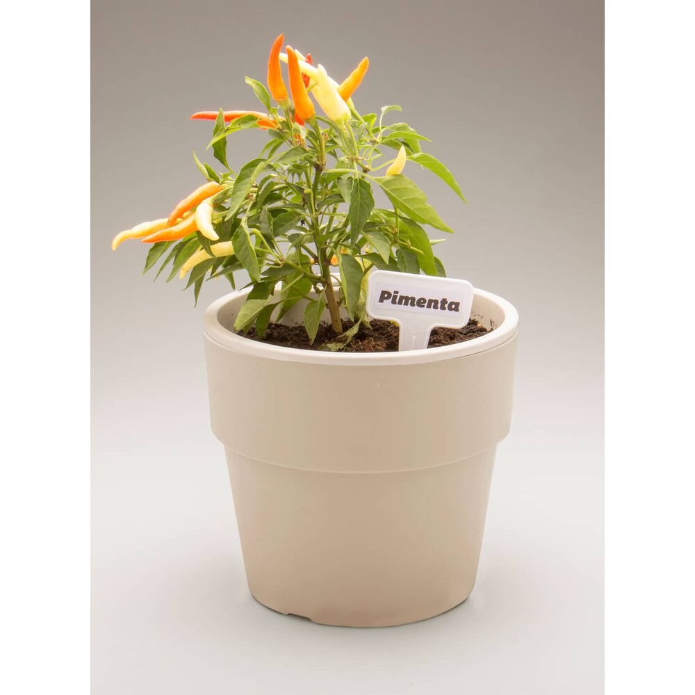 Macetero Auto Riego Beige 16 X 14 Cm image number 2.0