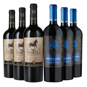6 Vinos Pack Asado: 3 Toro De Piedra + 3 Bestia Azul Reserva