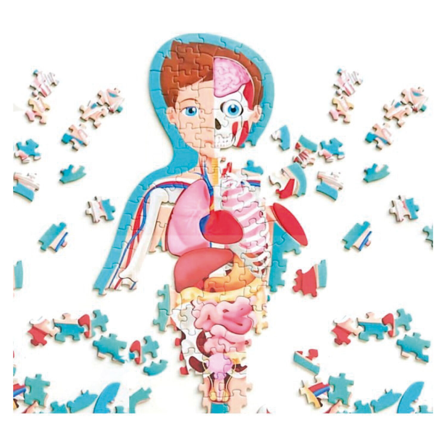 Libro Y Puzzle Cuerpo Humano image number 4.0