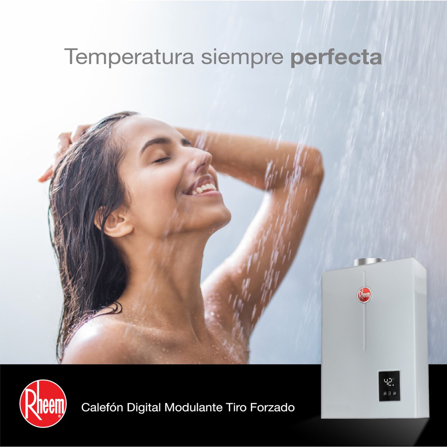 Calefont 21 Litros Gas Natural Tiro Forzado Rheem image number 4.0