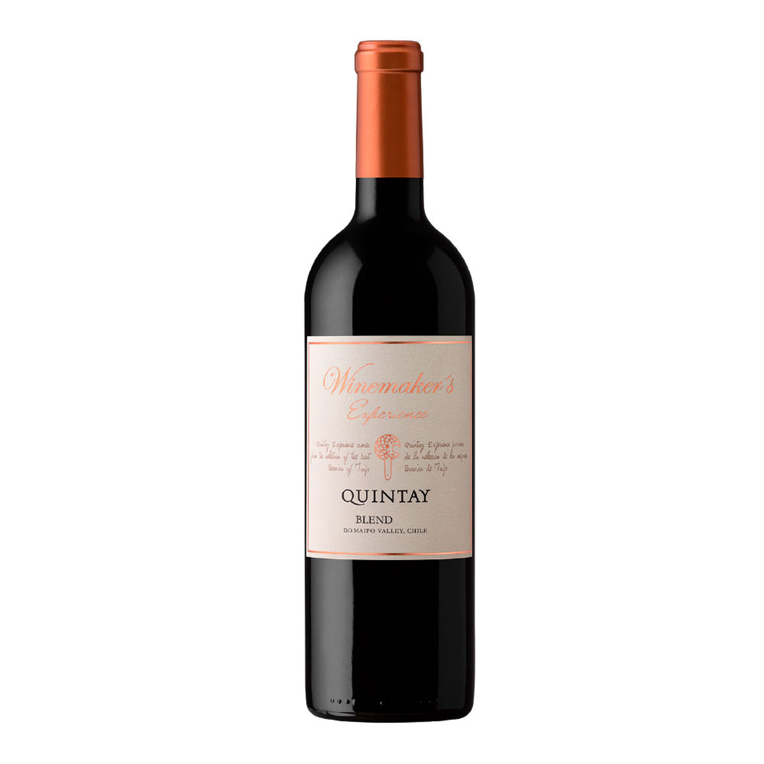 Vino Quintay Experience Ensamblaje (14% 750ml) image number 0.0
