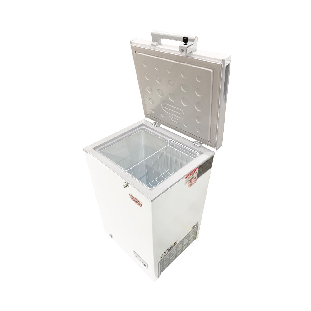 Freezer Horizontal 100 Litros Dual Tapa Dura Bd100b image number 1.0