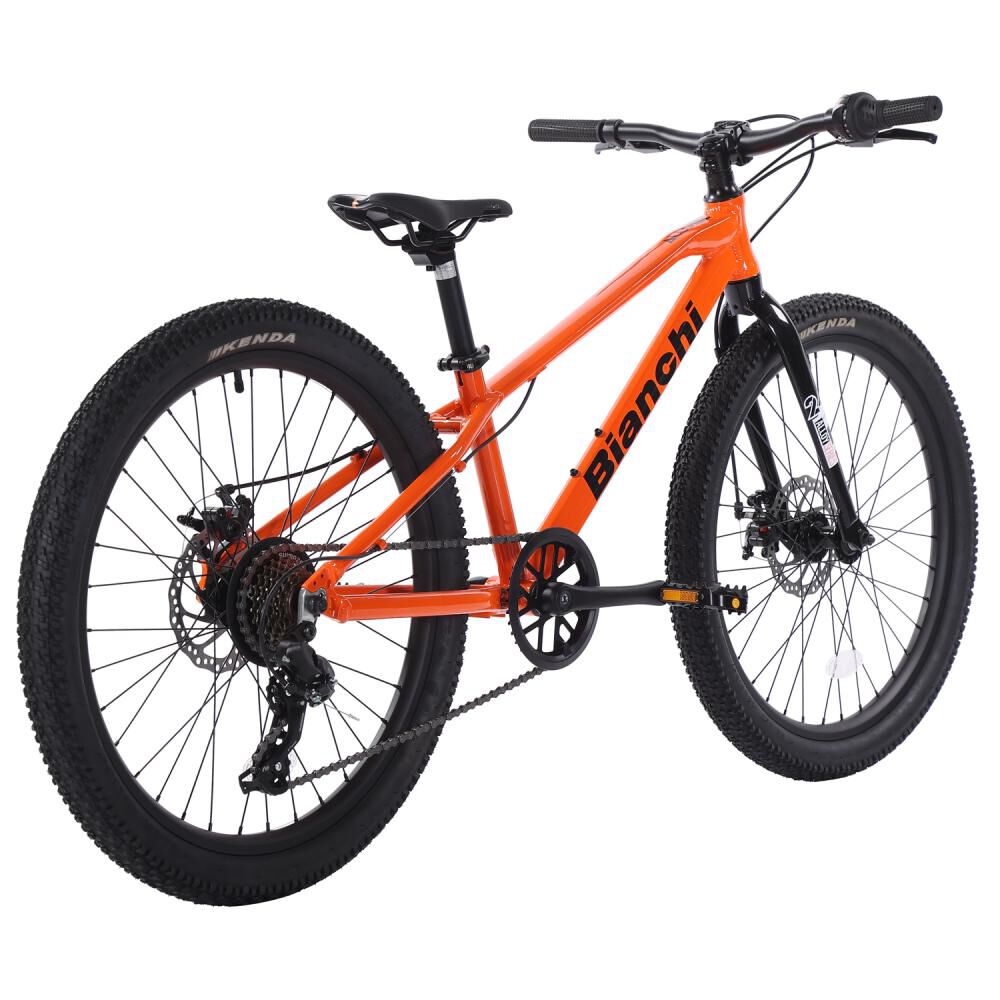 Bicicleta Mountain Bike Bianchi Bianchi Alloy 24 / Aro 24 image number 2.0
