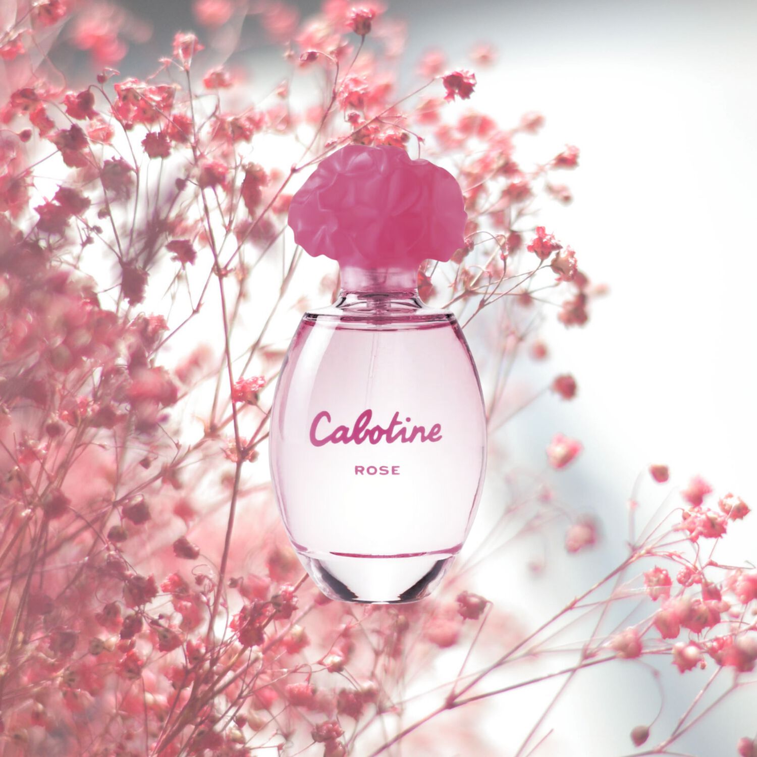 Cabotine Rose Edt 100 Ml image number 2.0