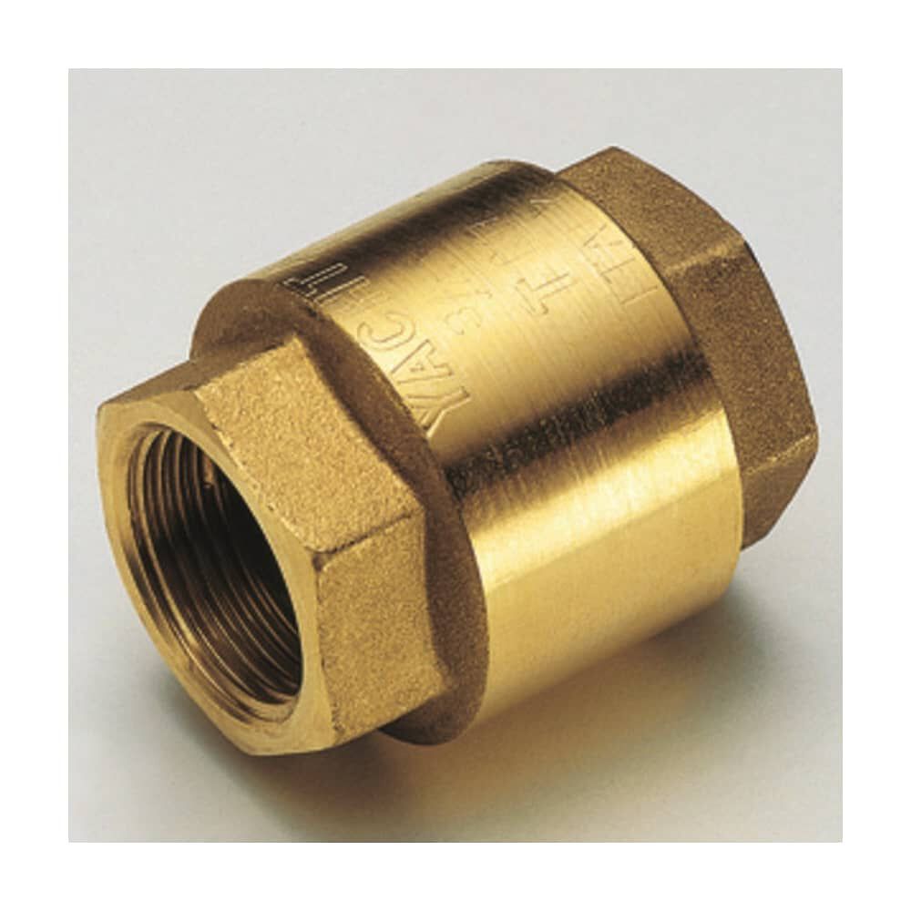 Valvula De Retenci&oacute;n Profesi&oacute;nal 2 1/2'' image number 0.0