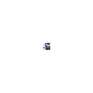 Al Wataniah Eqaab Men Edp 100ml