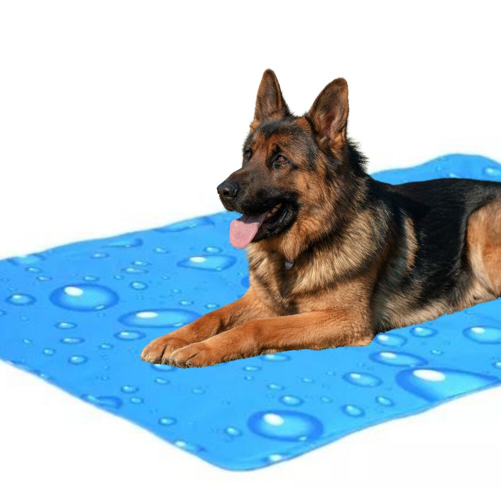 Manta De Gel Frio Refrescante Talla Xl 96x81cm Perros Gatos Burbujas image number 2.0