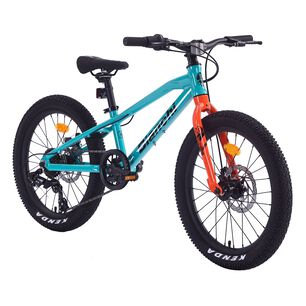 Bicicleta Infantil Bianchi Alloy 20 St / Aro 20