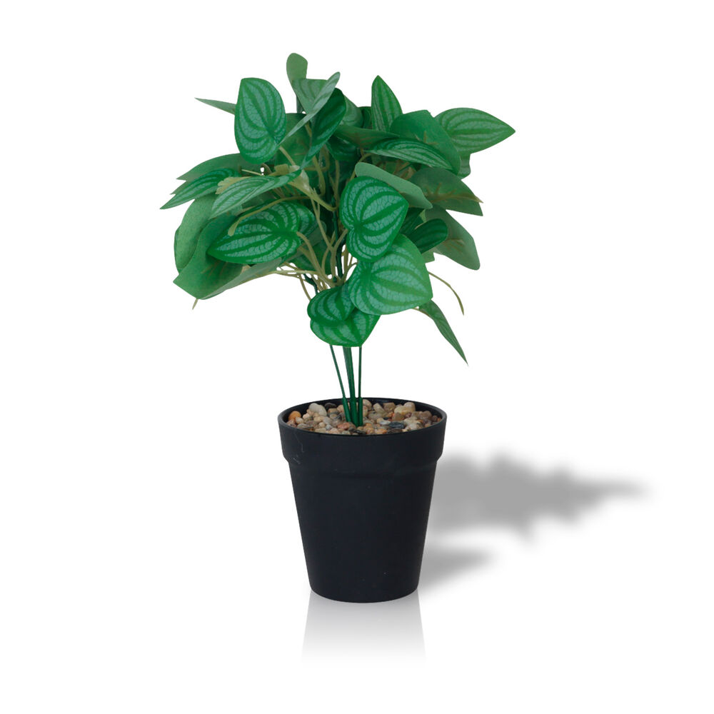 Planta Artificial Peperomia 28x9 Cm image number 0.0